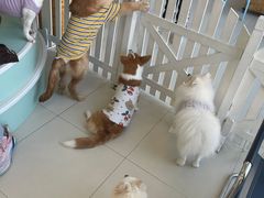 -怪兽屋·羊驼·猫咖·狗咖(俊华广场店)