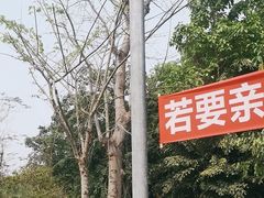 -西双版纳傣族园