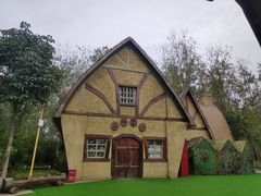 -合肥滨湖国家森林公园