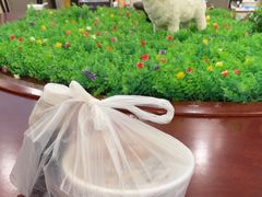 -杨正宗烤全羊(北二环店)