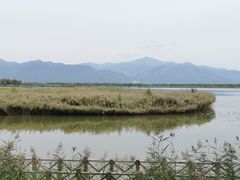 -野鸭湖国家湿地公园