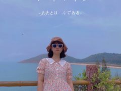 -广东惠东海龟国家级自然保护区