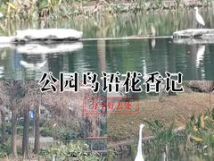 -四海公园(南山区)