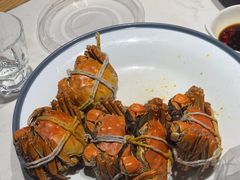 -杨氏青龙虾·羊蝎子(托乐嘉店)