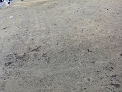 -亚洲大陆最南端