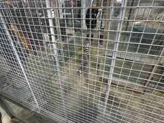 -水绘园