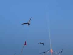 -星海广场