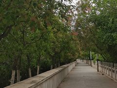 -门城湖公园