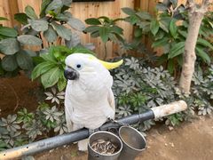 -南宫五洲植物乐园