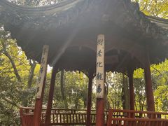 -秋霞圃