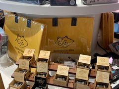 -浣熊唱片店(上海影城店)