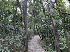 -小南山公园