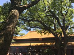 -普陀山风景区-佛顶山