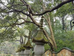 -天台山景区