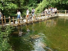 -王顺山国家森林公园