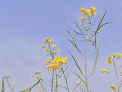 -汉长安城未央宫国家考古遗址公园