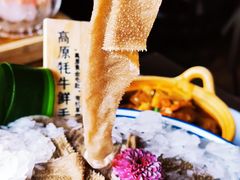 -九鼎轩脆毛肚火锅(三钢里店)