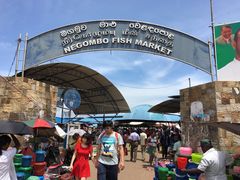 -尼甘布海鲜市场