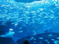 -海合安成都极地海洋公园