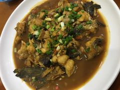 -全乐鱼馆·淳牌有机鱼直营店