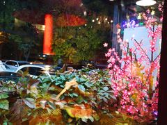 -红小姐的烤肉店(西三旗店)
