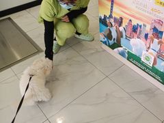 -艾吉宠物医院·疑难杂症转诊中心·猫友好(碧江路院)