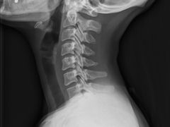 -名流健康高端体检中心·名宾门诊·健康管理