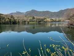 -杭州半山国家森林公园