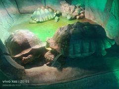 -西安秦岭野生动物园