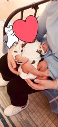 -喜孕时光月子中心(北大妇儿东侧店)