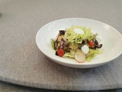 蔬菜沙拉-凯逸轩·匠心粤菜(中城名仕汇店)