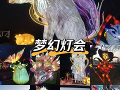 -淄博花灯齐彩城