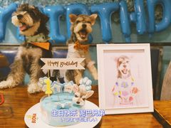 -百好乐宠物友好餐厅(朝外大街店)