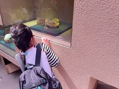 -陕西自然博物馆