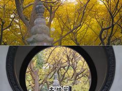 -南翔古镇