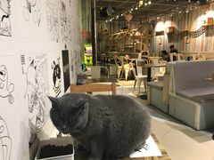 -小时光咖啡馆(开森度假森林店)