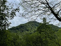 -青城山