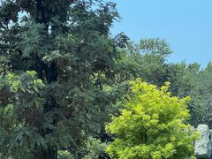 -秦皇岛野生动物园