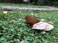 iphone_upload_pic-湖南省立第一师范学校旧址