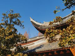 -龙华寺