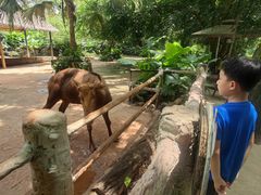 -海南热带野生动植物园