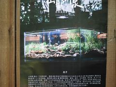 -懒鱼时光馆(沙坪坝店)