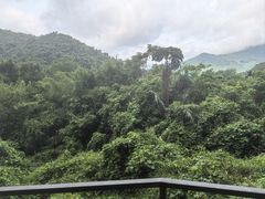 -呀诺达热带雨林