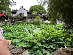 -上海醉白池公园