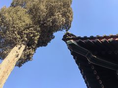 -恭王府博物馆