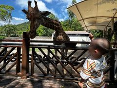 -泉州海丝野生动物世界