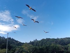 -深圳野生动物园