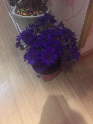 -本真坊美容美体沙龙