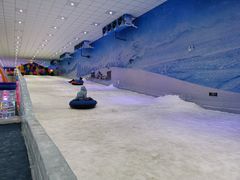 -宁波冰雪大世界(北仑区)