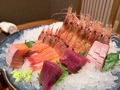 三文鱼腩-月龍吟(朝龙汇店)